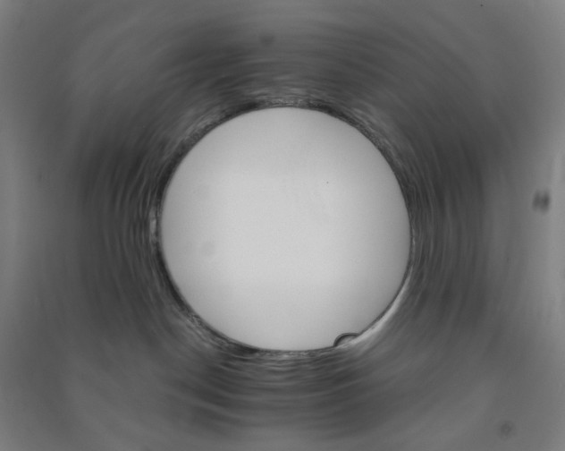 X0000090920190200708201814