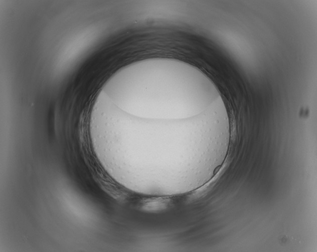 X0000090920191200708201814