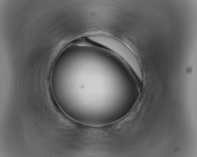 X0000090920193200708201814