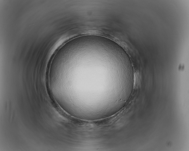 X0000090920195200708201813