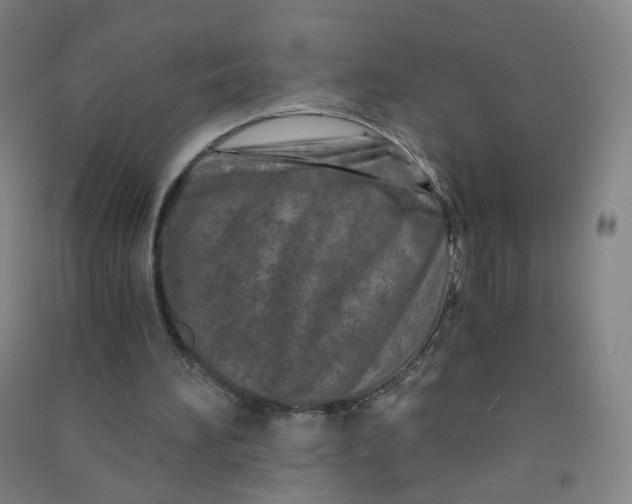 X0000090920196200708201813