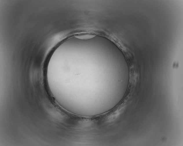 X0000090920198200708201813