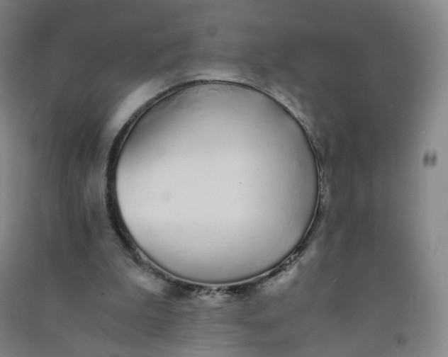 X0000090920199200708201813