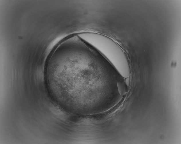 X0000090920200200708201813