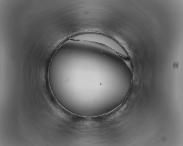 X0000090920201200708201813