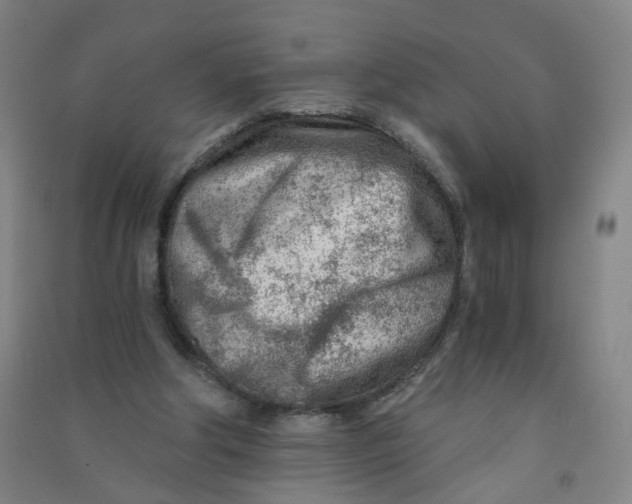 X0000090920202200708201813