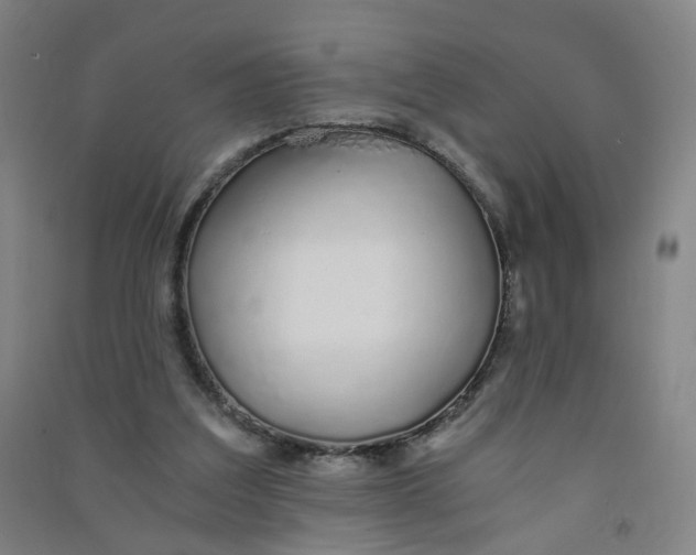 X0000090920203200708201813