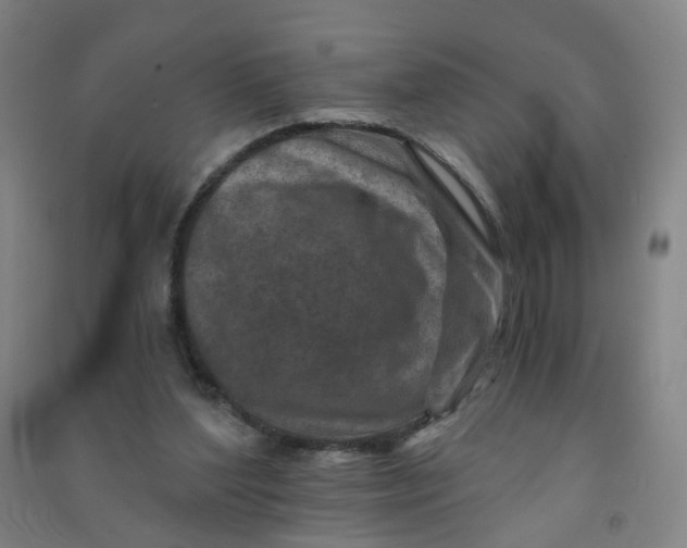 X0000090920204200708201813