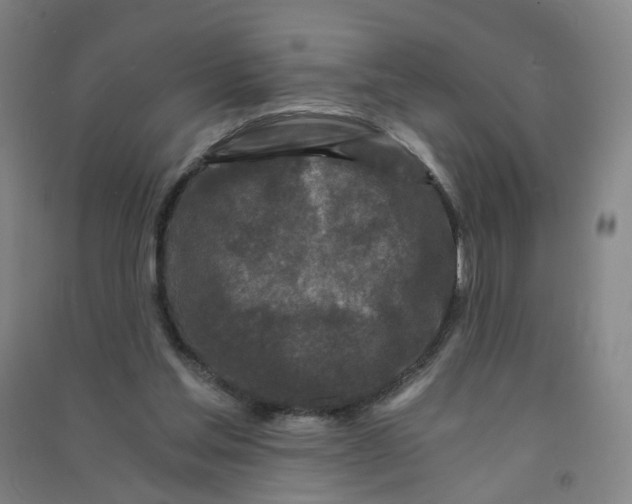 X0000090920205200708201813