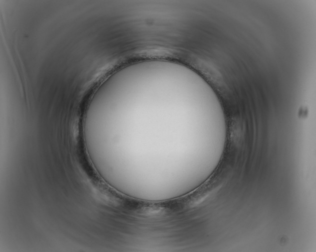 X0000090920206200708201813