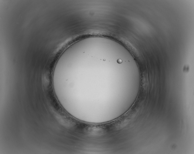 X0000090920208200708201813