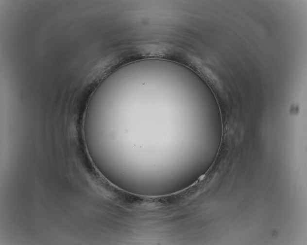 X0000090920209200708201813