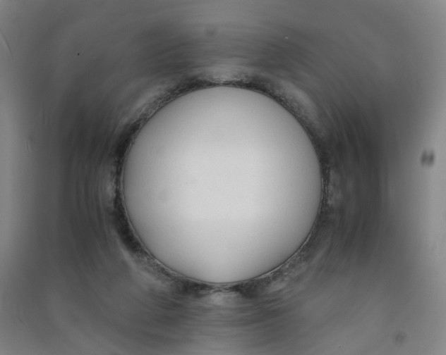 X0000090920210200708201813