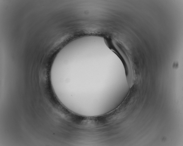 X0000090920211200708201813