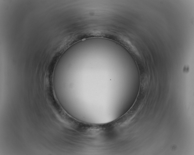 X0000090920213200708201813