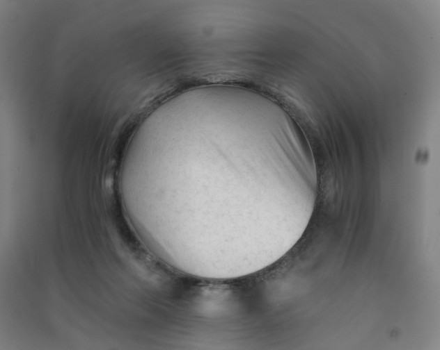 X0000090920214200708201813