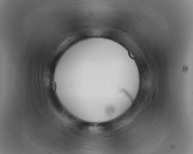 X0000090920216200708201813