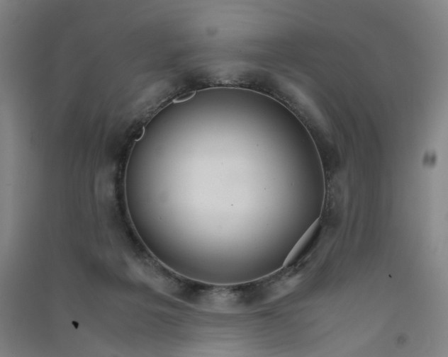 X0000090920217200708201813