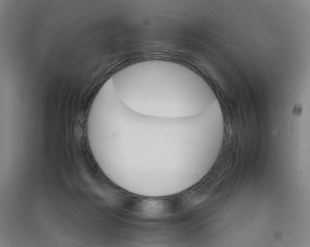 X0000090920218200708201813