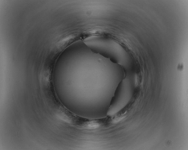 X0000090920219200708201813