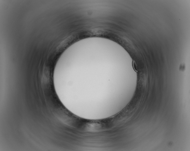 X0000090920220200708201813