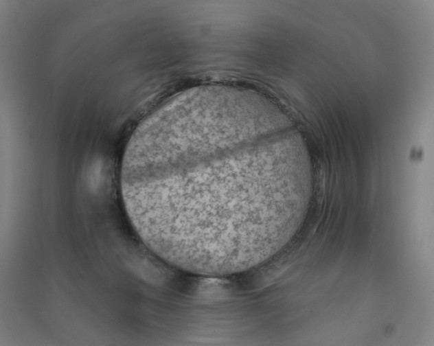 X0000090920222200708201813