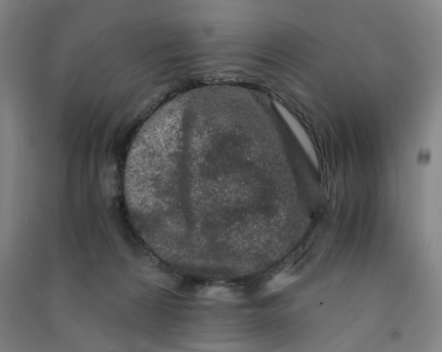 X0000090920224200708201813