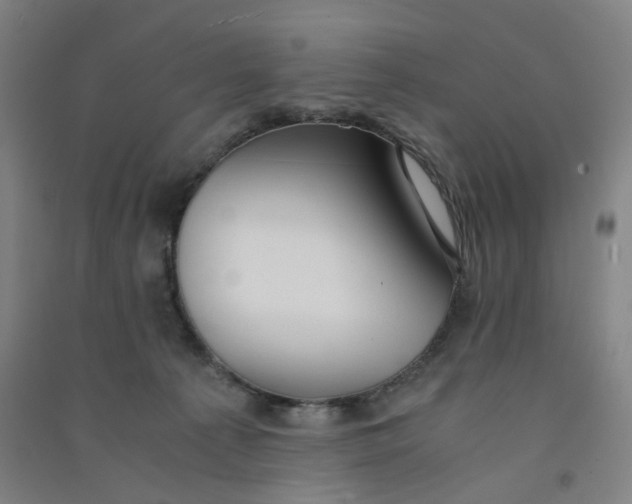 X0000090920225200708201813