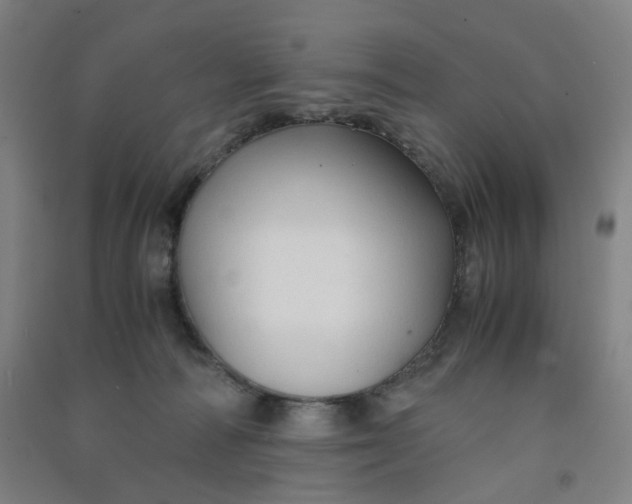 X0000090920226200708201813