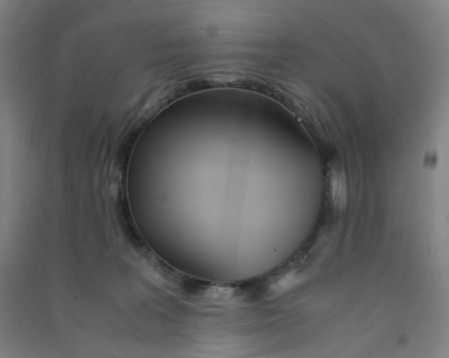 X0000090920227200708201813