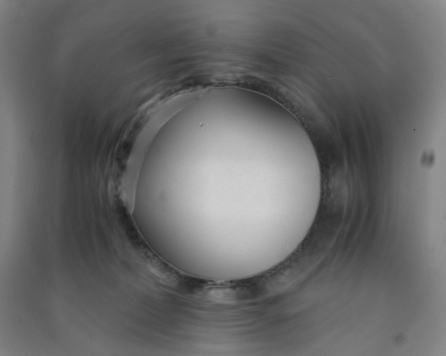 X0000090920228200708201813