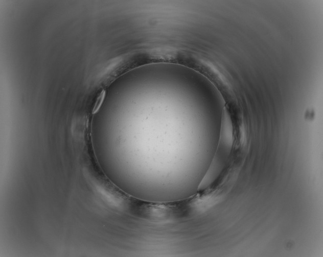 X0000090920229200708201813