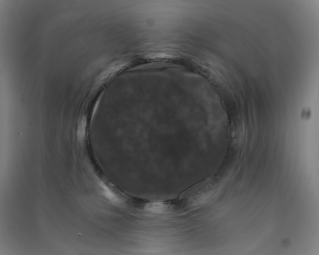 X0000090920231200708201813