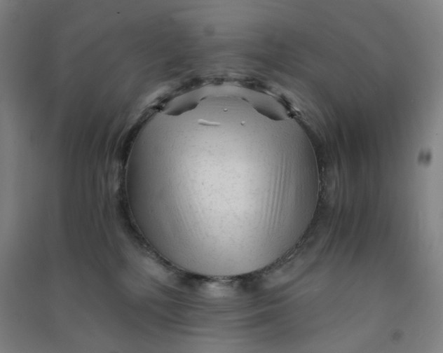 X0000090920232200708201813