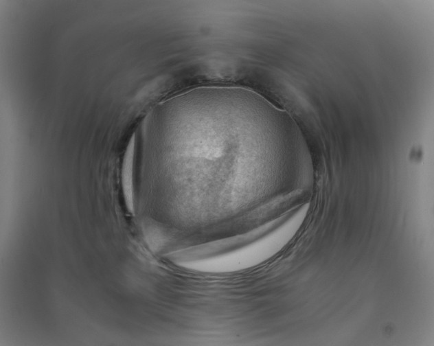 X0000090920233200708201813