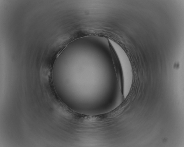 X0000090920235200708201813