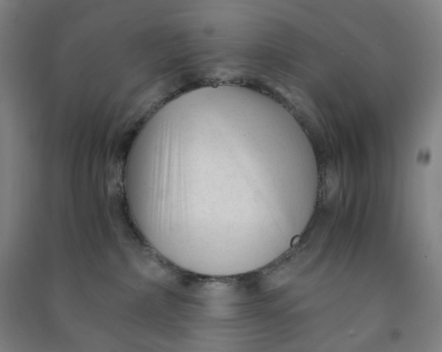 X0000090920236200708201813