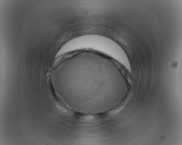 X0000090920237200708201813