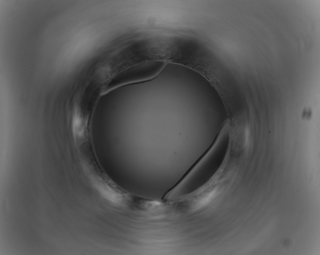 X0000090920239200708201813