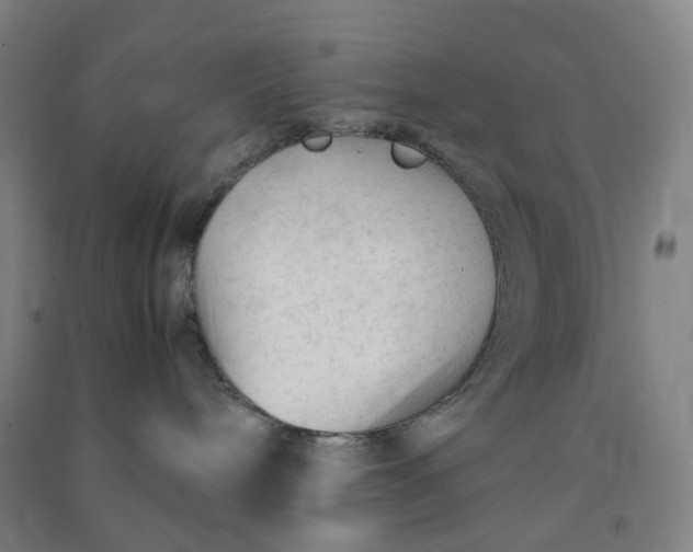 X0000090920240200708201813