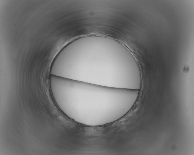 X0000090920241200708201812