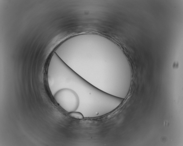 X0000090920242200708201812