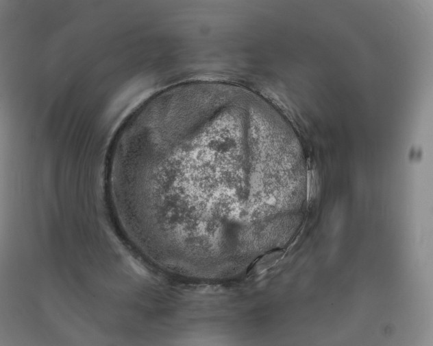 X0000090920243200708201812