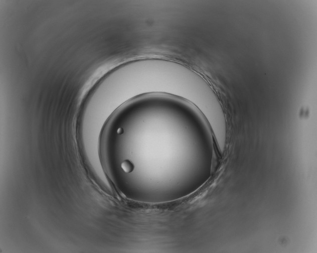 X0000090920244200708201812