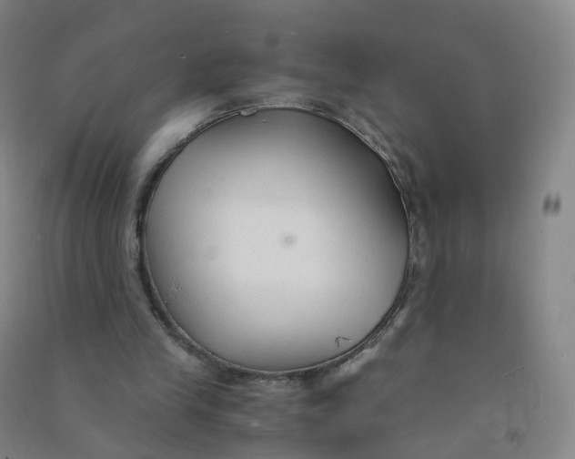 X0000090920245200708201812