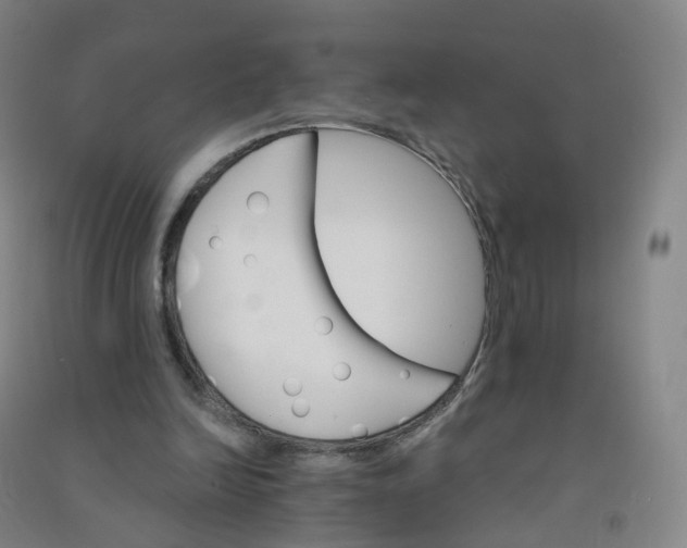 X0000090920246200708201812