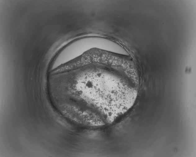 X0000090920247200708201812