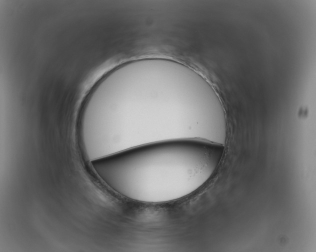 X0000090920248200708201812