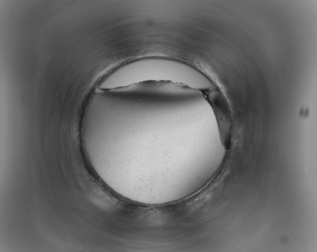 X0000090920249200708201812