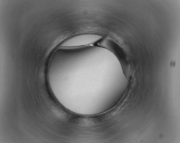 X0000090920250200708201812